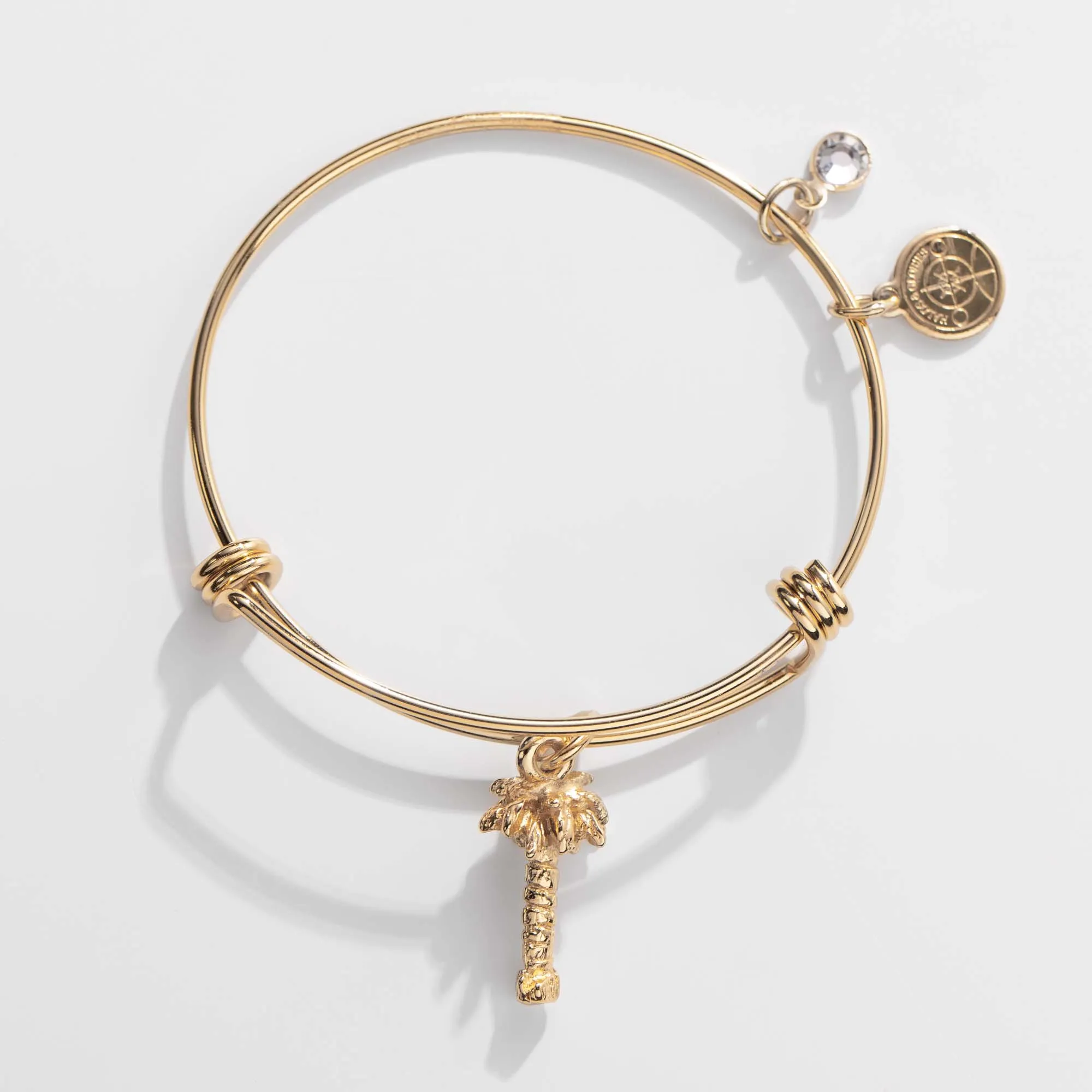 Palm Tree Charm Bangle, Halos & Glories