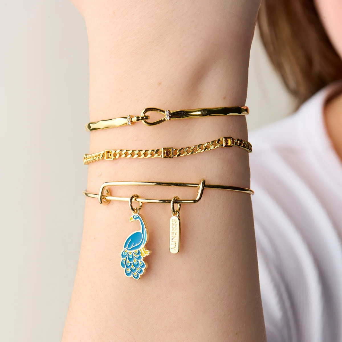 'Serenity' Peacock Duo Charm Bangle Bracelet