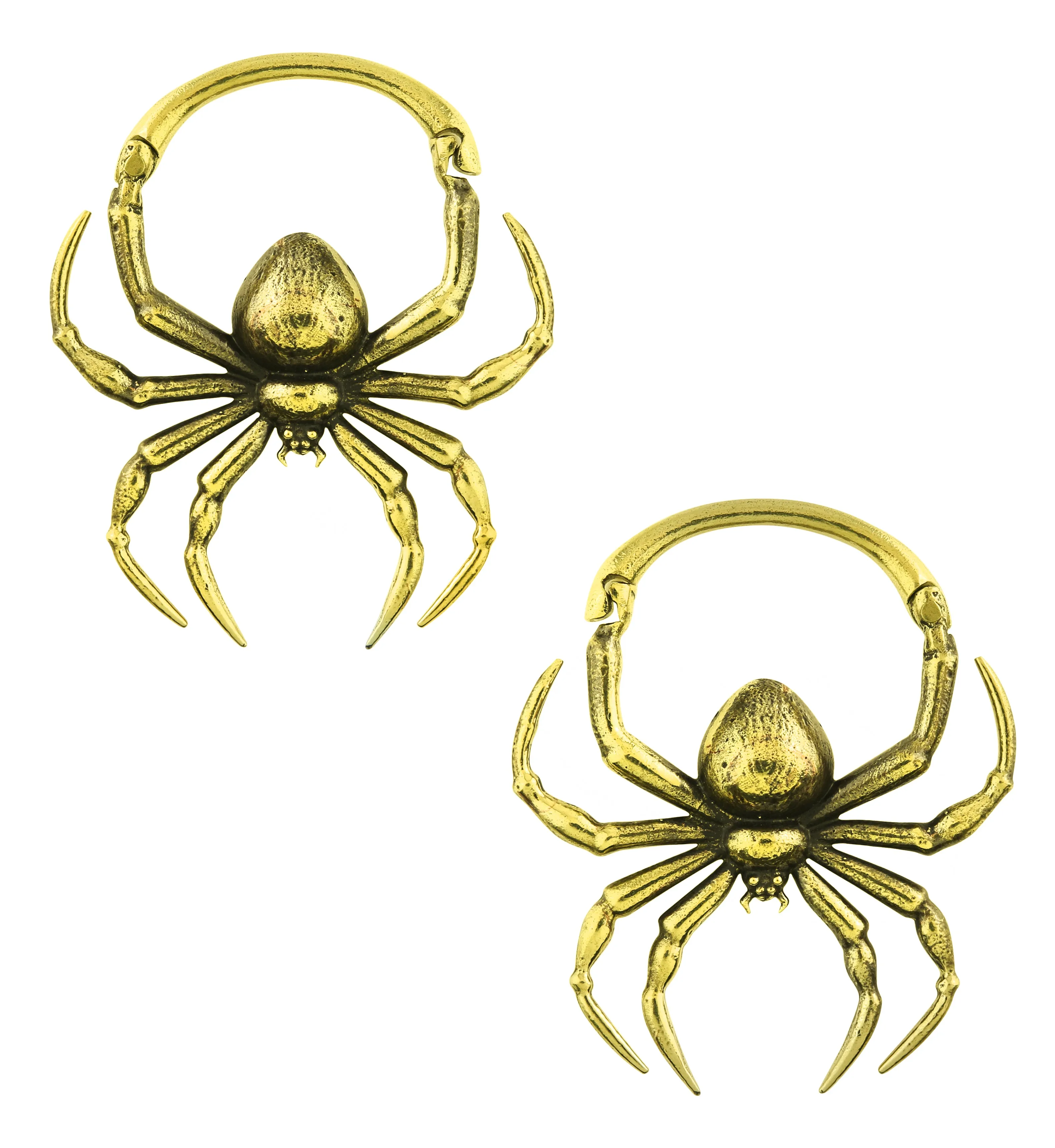 Spider Brass Hinged Ear Weights