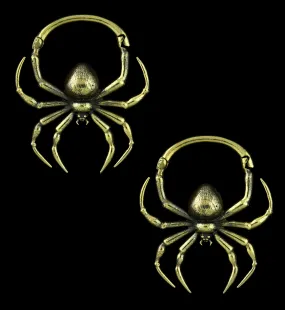 Spider Brass Hinged Ear Weights