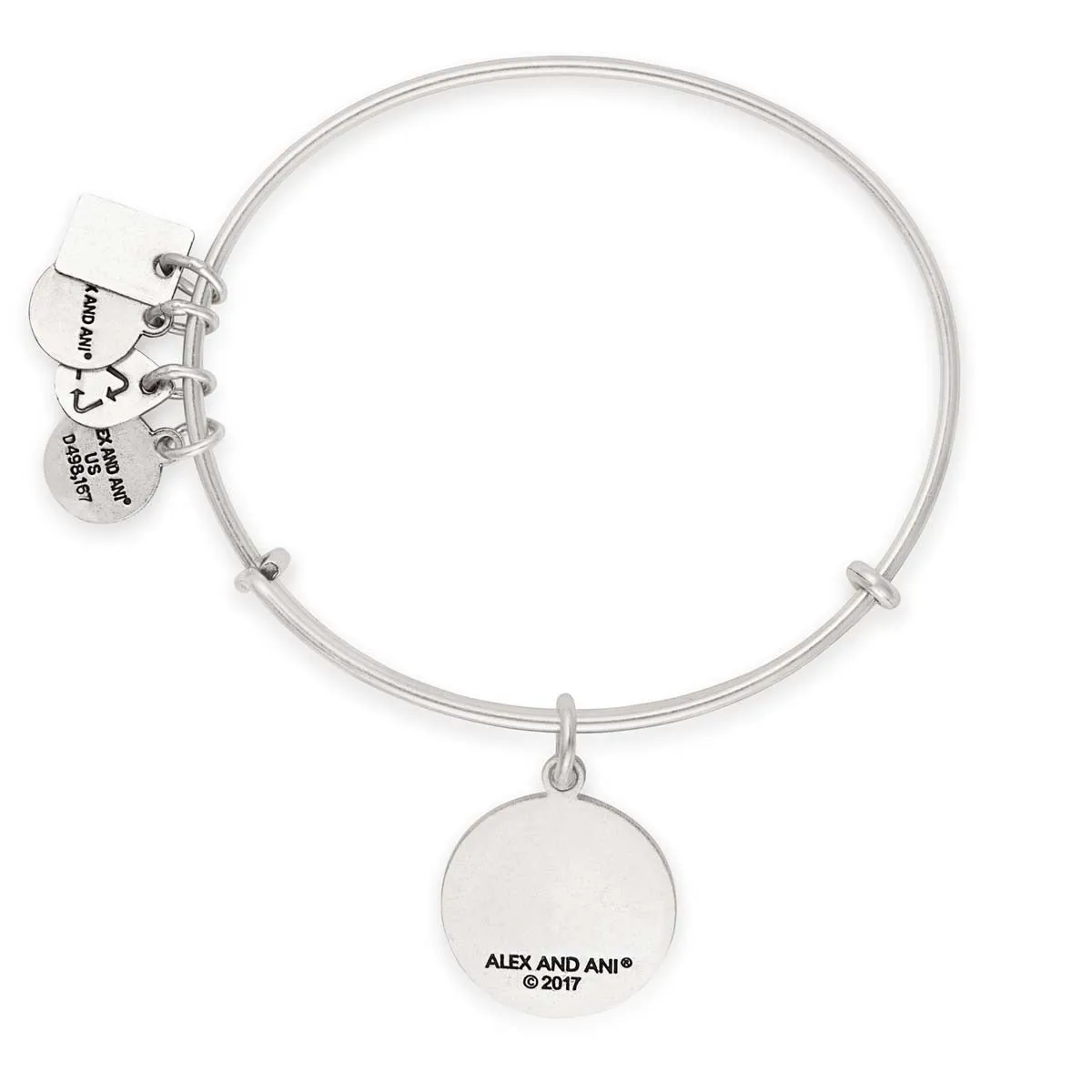 Team USA Skiing Charm Bangle