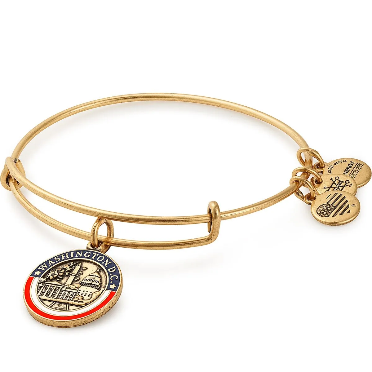 Washington D.C. Charm Bangle